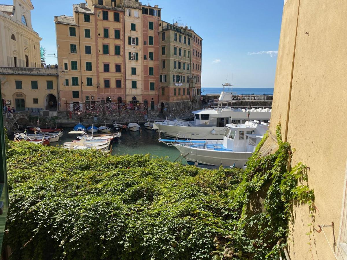 Camogli - "La Casa Di Judi" - Liguria Holidays מראה חיצוני תמונה